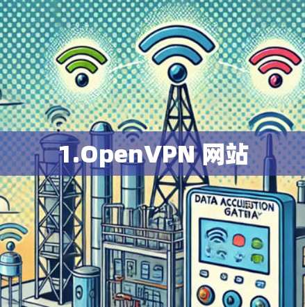1.OpenVPN 网站