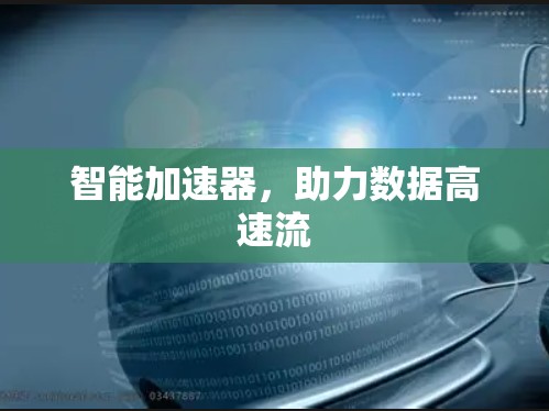 智能加速器，助力数据高速流