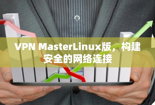 VPN MasterLinux版，构建安全的网络连接