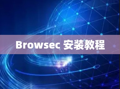 Browsec 安装教程
