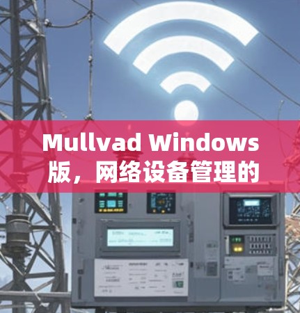 Mullvad Windows 版，网络设备管理的智能化与便捷性