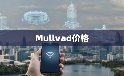 Mullvad价格