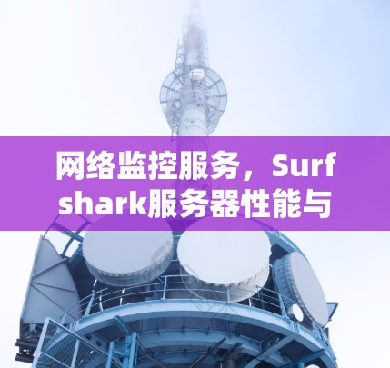 网络监控服务，Surfshark服务器性能与安全的完美结合