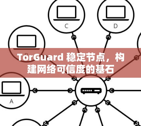 TorGuard 稳定节点，构建网络可信度的基石