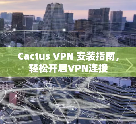 Cactus VPN 安装指南，轻松开启VPN连接