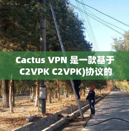 Cactus VPN 是一款基于 C2VPK C2VPK)协议的VPN工具，支持 PC、手机、平板和电脑端设备。它旨在提供安全、可靠的网络连接，适用于个人、家庭和企业用户
