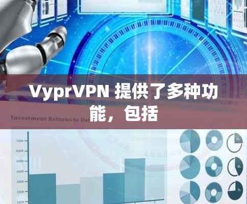 VyprVPN 提供了多种功能，包括