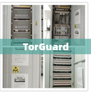 TorGuard