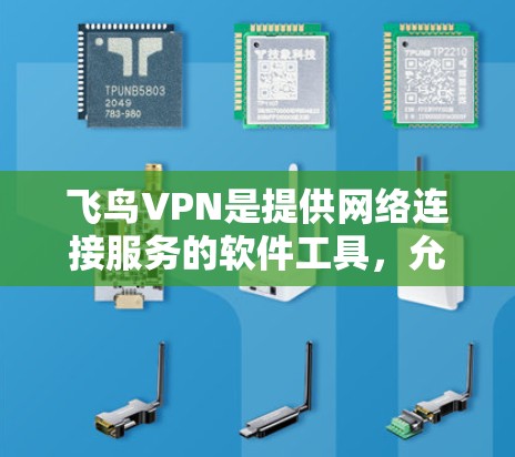 飞鸟VPN是提供网络连接服务的软件工具，允许用户快速连接到互联网。以下是使用飞鸟VPN进行下载的基本步骤
