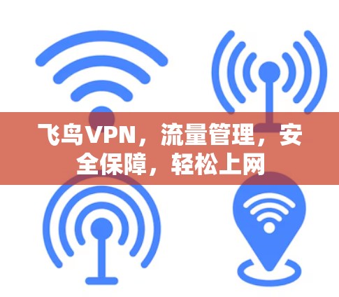 飞鸟VPN，流量管理，安全保障，轻松上网