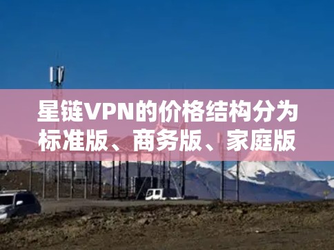 星链VPN的价格结构分为标准版、商务版、家庭版和用户定制版，价格范围大致如下