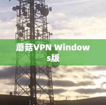 蘑菇VPN Windows版