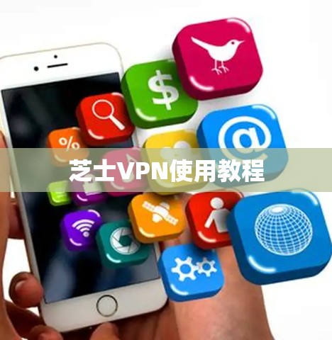 芝士VPN使用教程