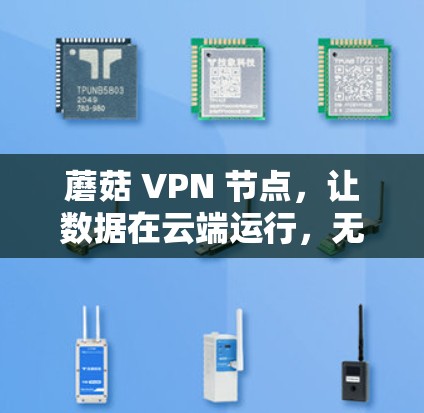 蘑菇 VPN 节点，让数据在云端运行，无需连接