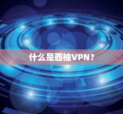 什么是西柚VPN？