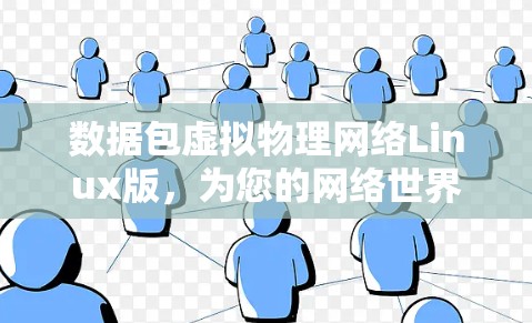 数据包虚拟物理网络Linux版，为您的网络世界提供高效便捷的解决方案