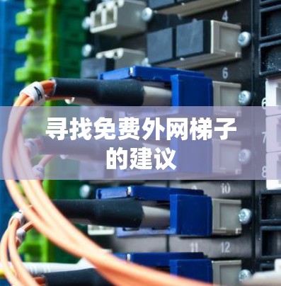 寻找免费外网梯子的建议 寻找免费外网梯子的建议