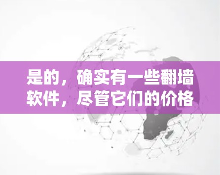 是的，确实有一些翻墙软件，尽管它们的价格可能不如大品牌杀毒软件或拦截器那么昂贵，但它们仍然可以帮助你绕过网络防火墙，访问外部网站或远程服务器。以下是一些价格实惠的翻墙软件推荐