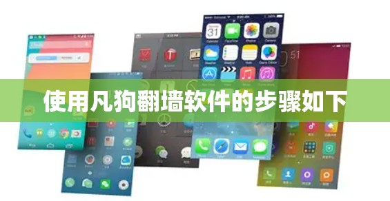 使用凡狗翻墙软件的步骤如下 使用凡狗翻墙软件的步骤如下