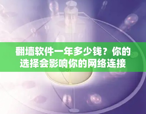 翻墙软件一年多少钱?你的选择会影响你的网络连接 翻墙软件一年多少钱?你的选择会影响你的网络连接
