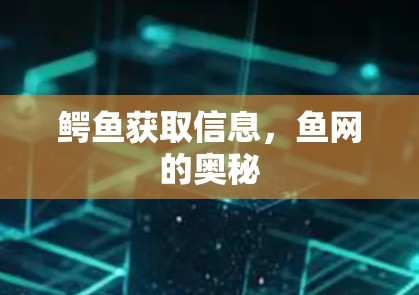 鳄鱼获取信息,鱼网的奥秘 鳄鱼获取信息,鱼网的奥秘