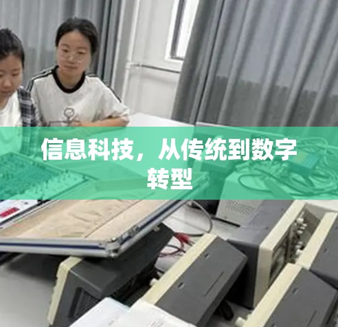 信息科技，从传统到数字转型