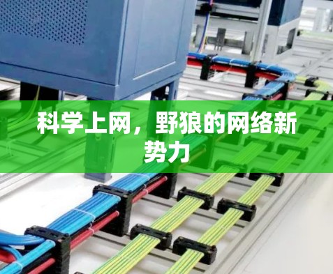 科学上网，野狼的网络新势力