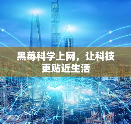 黑莓科学上网,让科技更贴近生活 黑莓科学上网,让科技更贴近生活