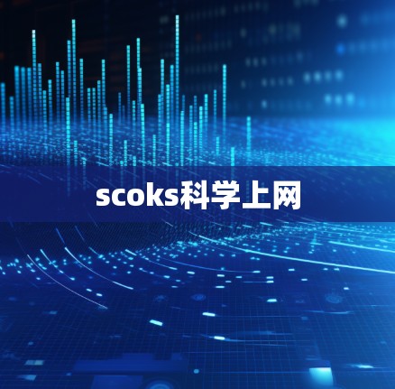 scoks科学上网 scoks科学上网