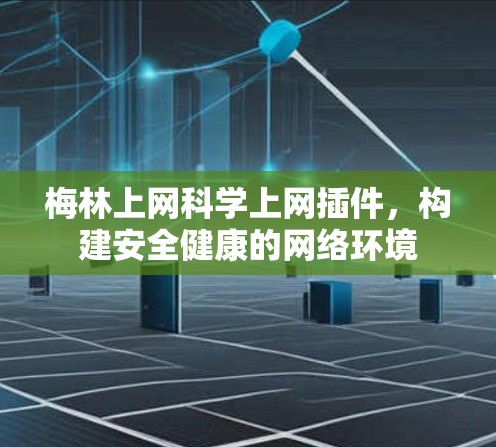 梅林上网科学上网插件,构建安全健康的网络环境 梅林上网科学上网插件,构建安全健康的网络环境