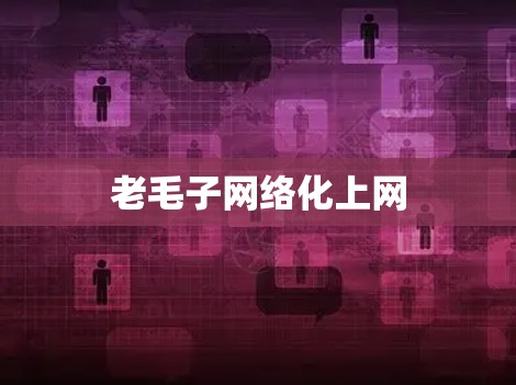 老毛子网络化上网 老毛子网络化上网