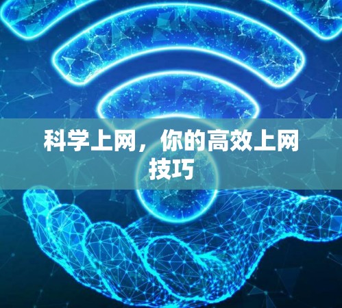 科学上网,你的高效上网技巧 科学上网,你的高效上网技巧