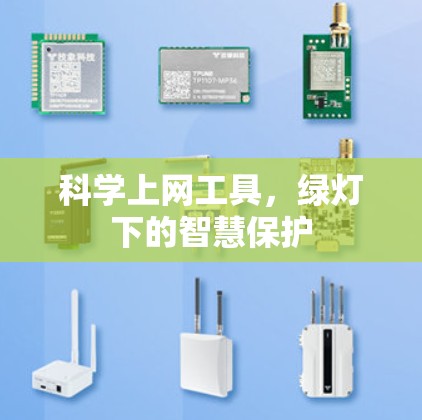 科学上网工具,绿灯下的智慧保护 科学上网工具,绿灯下的智慧保护