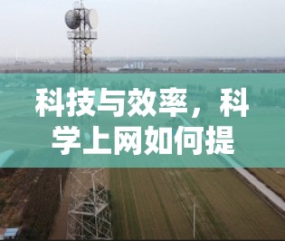 科技与效率，科学上网如何提升生活品质