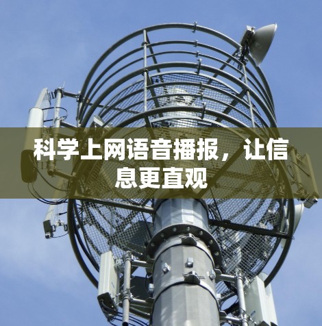 科学上网语音播报，让信息更直观