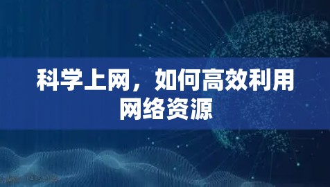 科学上网，如何高效利用网络资源