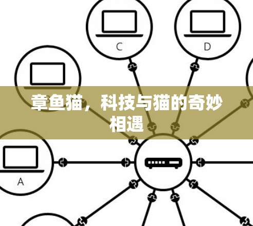 章鱼猫，科技与猫的奇妙相遇