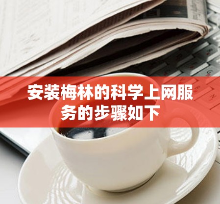 安装梅林的科学上网服务的步骤如下